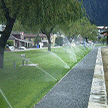 Image Gallery