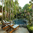 Image Gallery